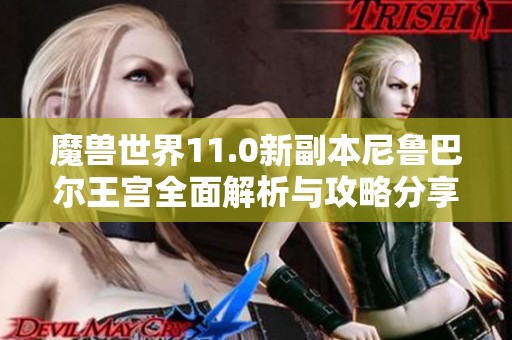 魔兽世界11.0新副本尼鲁巴尔王宫全面解析与攻略分享