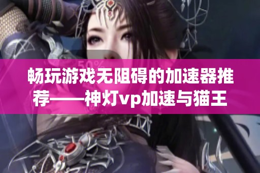 畅玩游戏无阻碍的加速器推荐——神灯vp加速与猫王加速器对比分析