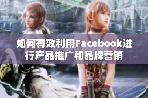 如何有效利用Facebook进行产品推广和品牌营销