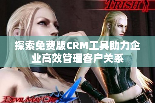 探索免费版CRM工具助力企业高效管理客户关系