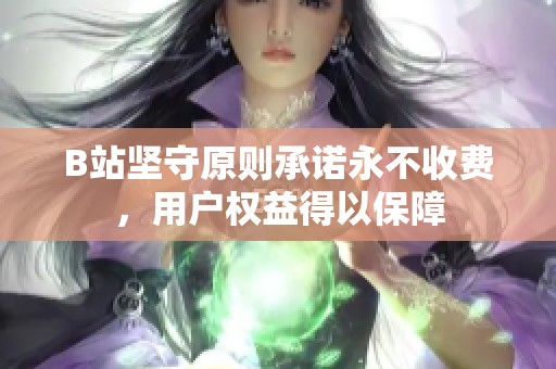 B站坚守原则承诺永不收费，用户权益得以保障