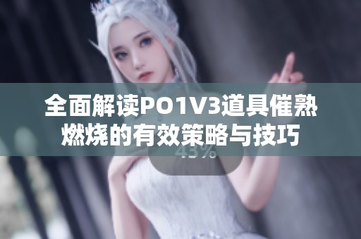 全面解读PO1V3道具催熟燃烧的有效策略与技巧