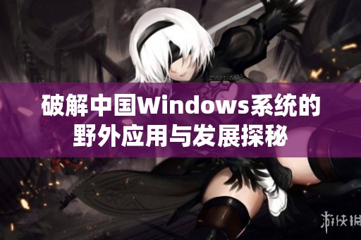 破解中国Windows系统的野外应用与发展探秘