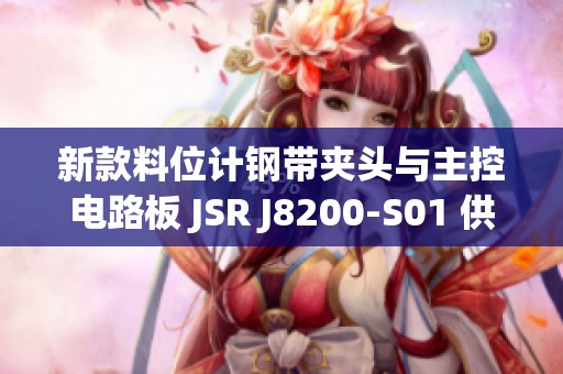 新款料位计钢带夹头与主控电路板 JSR J8200-S01 供应信息