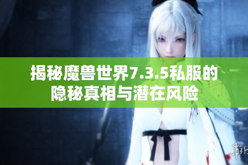 揭秘魔兽世界7.3.5私服的隐秘真相与潜在风险